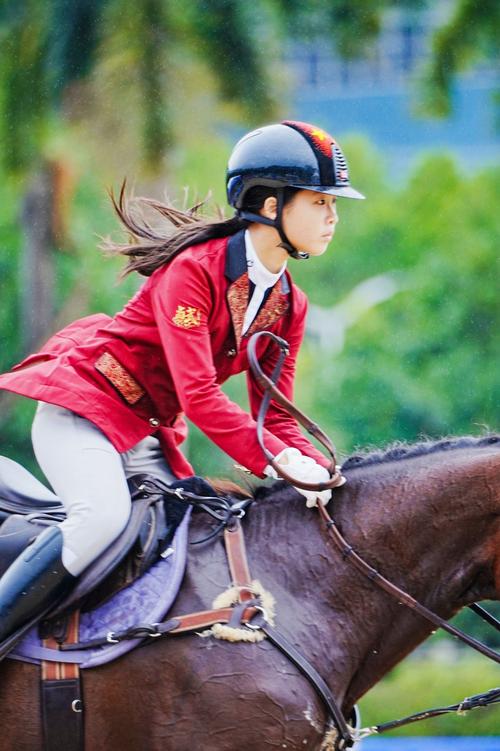 主人称马被箭射死：怀疑是无人机投射