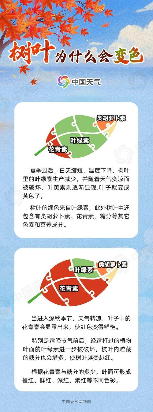 香山红叶延缓变色