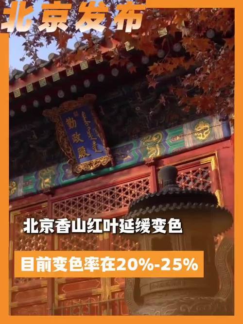 香山红叶延缓变色