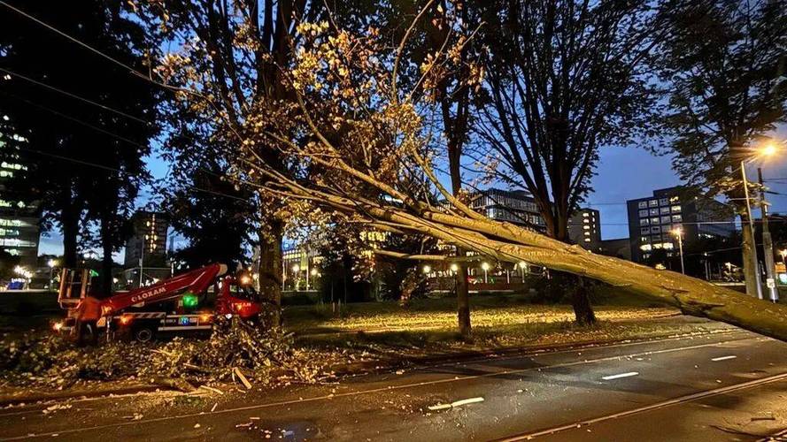 荷兰遭风暴袭击 航空铁路交通受阻