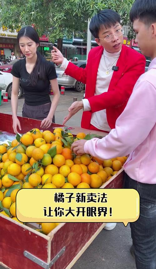 高校研究所卖柑桔 7天卖出25000斤