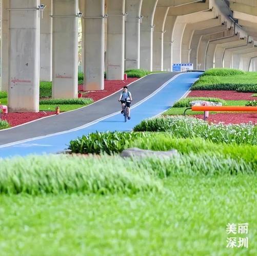 深圳一骑行道地标指引是多级台阶