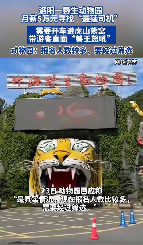 野生动物园月薪5万招聘猛兽区司机