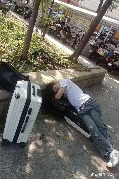 安徽一狮子街头狂奔 有人拿铁锹追