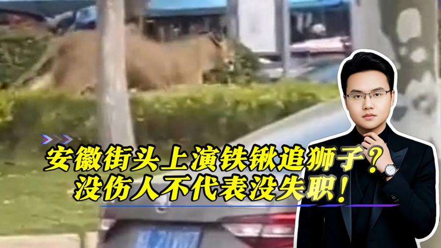 安徽一狮子街头狂奔 有人拿铁锹追
