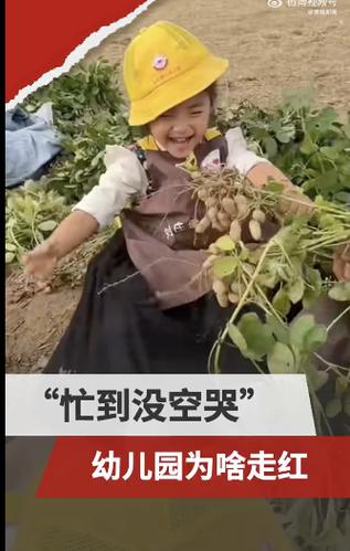 “吃苦幼儿园”为何能走红