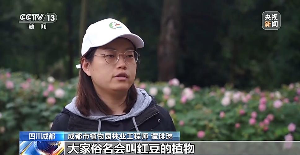 “捡秋”有风险 尝鲜需谨慎