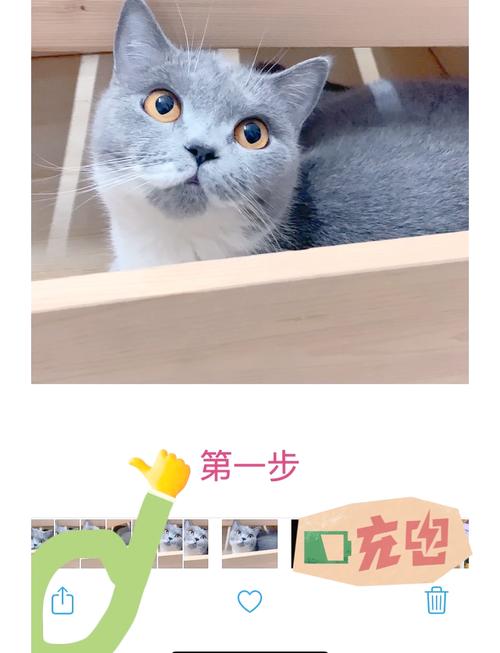 苹果手机如何把手机相册的照片弄成pdf