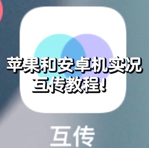 如何将vivo手机数据传到苹果手机