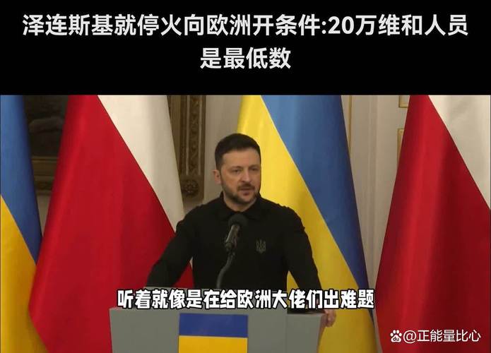 14国联合声明:支持俄乌立即停火