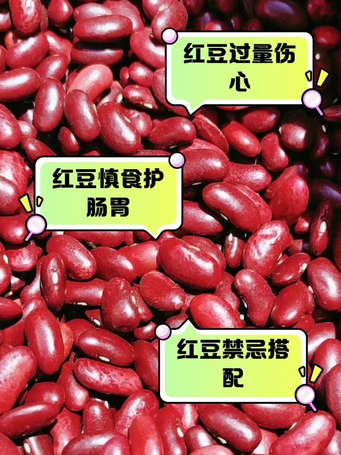 公园捡的“红豆”千万不要吃