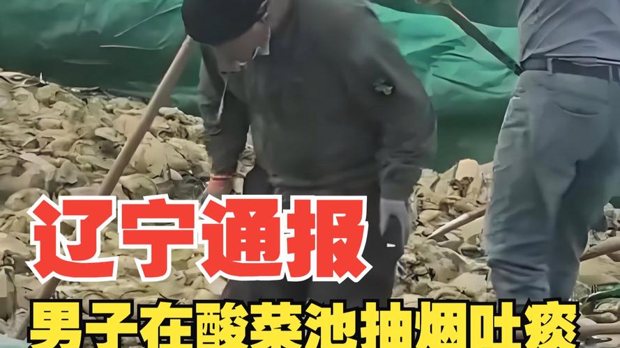 辽宁通报“男子在酸菜池抽烟吐痰”