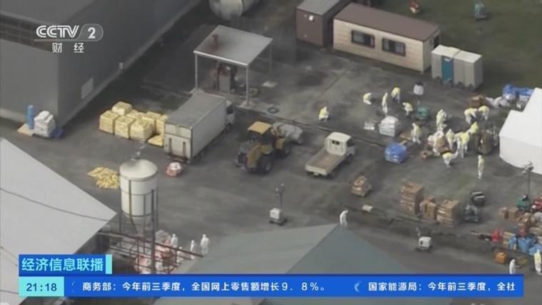 日本鸡蛋价格逼近历史最高值