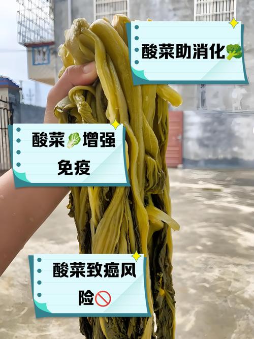 还有多少“老痰酸菜”流入了市场