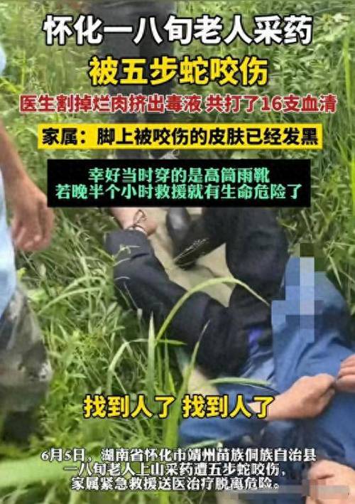 被毒蛇咬伤失联男子最新消息:人没事