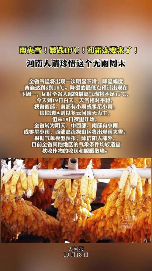 河南南阳雪降农田系谣言