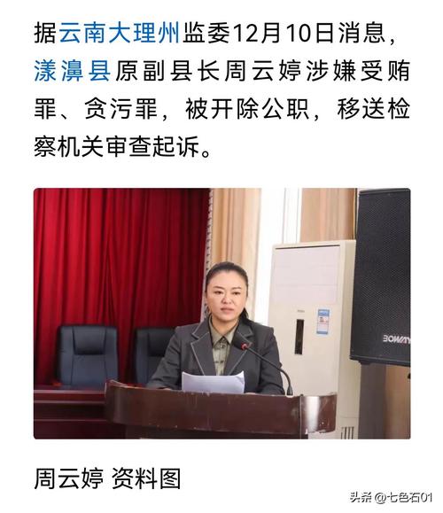 落马女副厅被逮捕 外号“田哥艳姐”