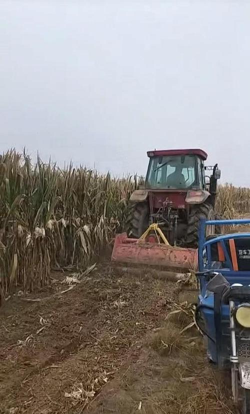 农民突发脑溢血 上百村民帮忙收玉米