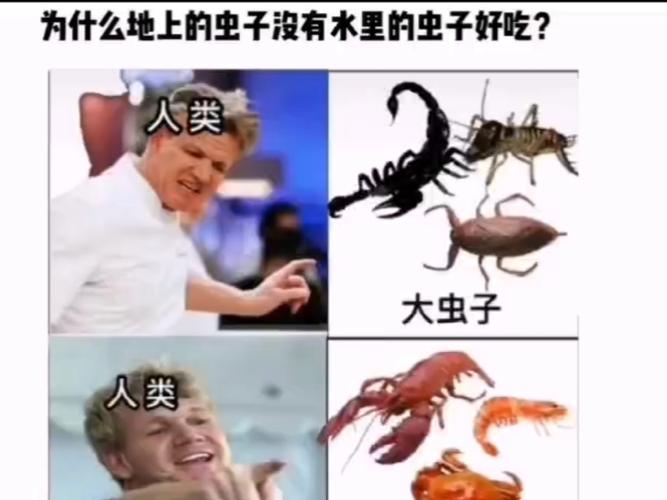 这群年轻人为什么老在田里数虫子？