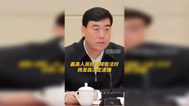 受贿1.47亿余元 杨发森被判无期