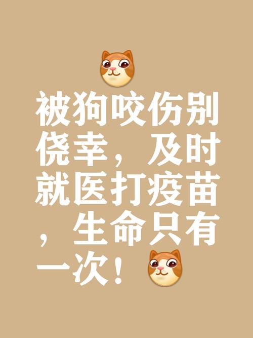 别让宠物救命血成流浪动物的索命符