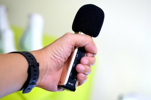 德学者和记者撞款：你的麦克风我也有