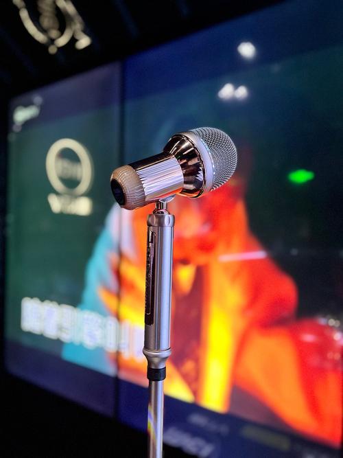 德学者和记者撞款：你的麦克风我也有