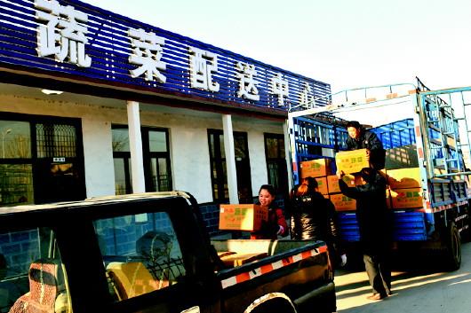 网吧老板返乡 成杏园农场主