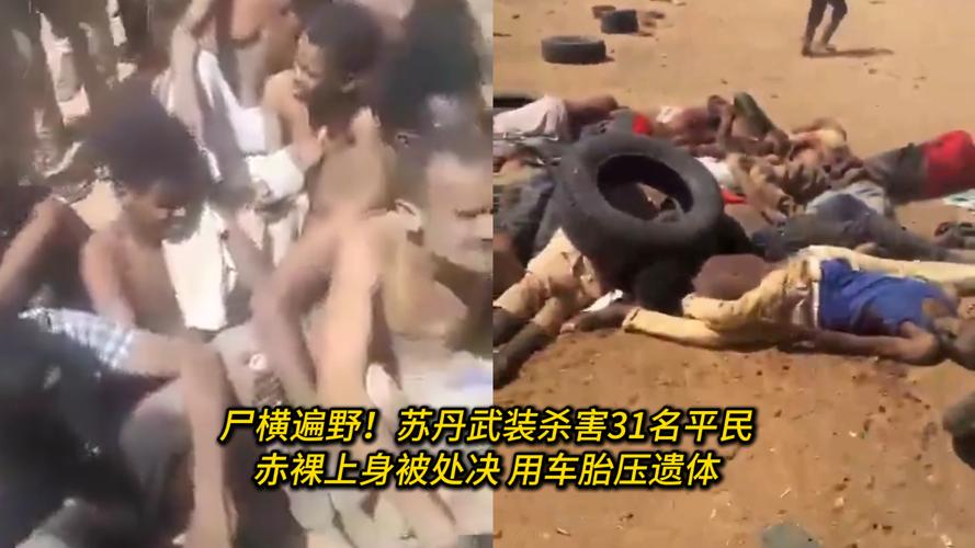 12名医务人员在苏丹中部城市遇害