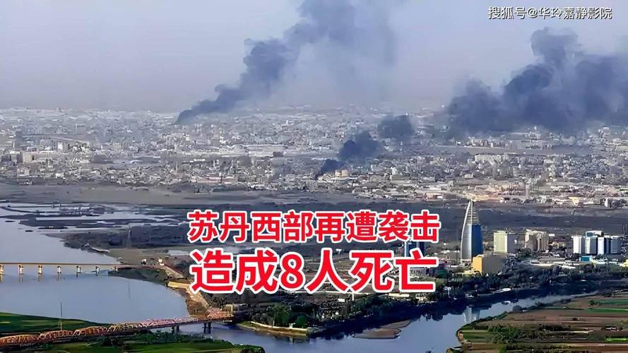 12名医务人员在苏丹中部城市遇害