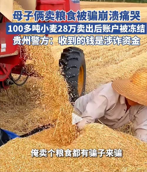 卖粮28万遭冻结账户已全部解冻