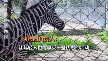 动物园回应1995年前出生可买老年票