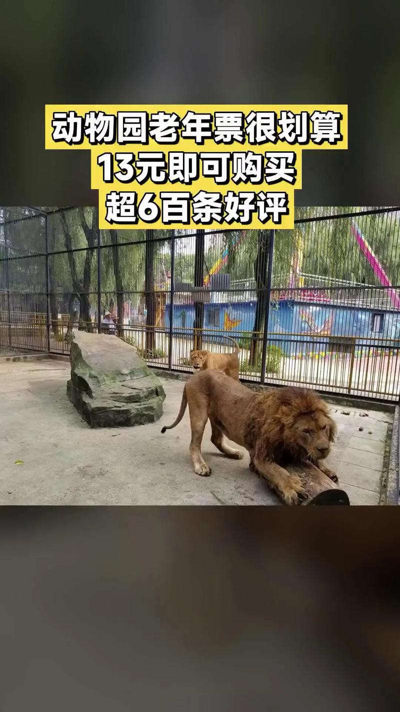 动物园回应1995年前出生可买老年票