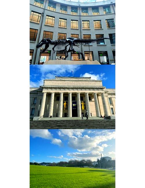 美国加州奥克兰博物馆遭大规模盗窃