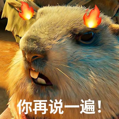 鼠鼠我啊要上天了