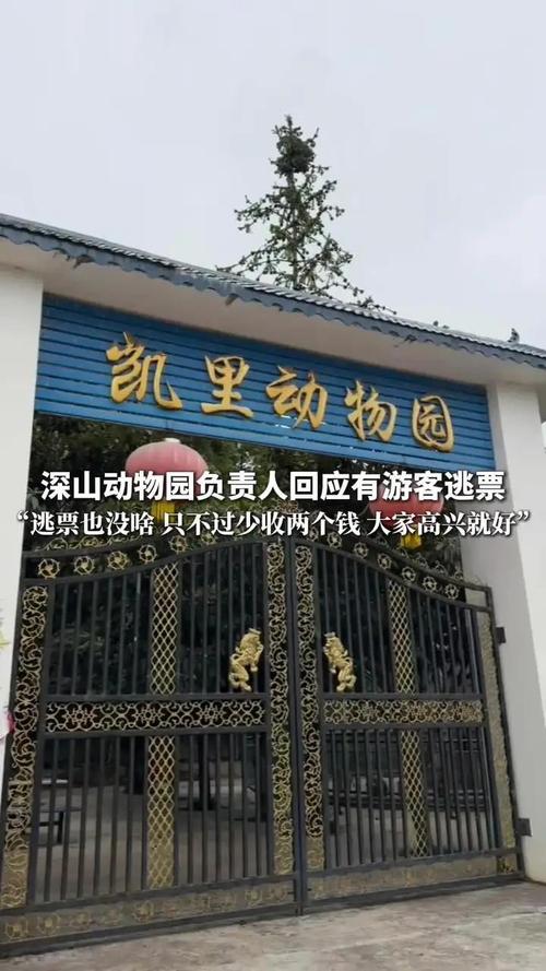 深山动物园请网友不要打钱了