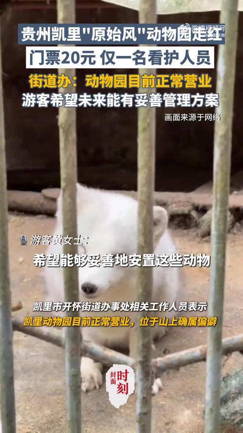 深山动物园请网友不要打钱了