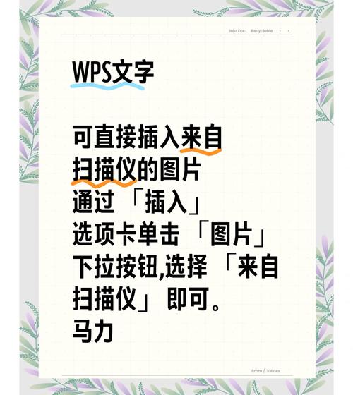 如何电脑扫描照片