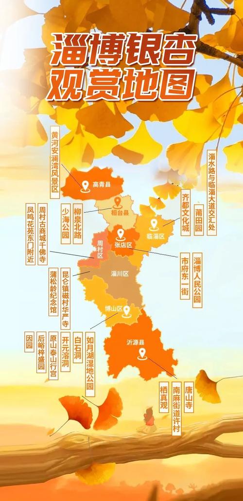 错过再等1年!全国银杏观赏地图来了