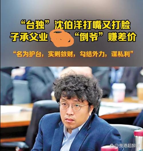 台博主批沈伯洋:只会躲同温层嘴炮