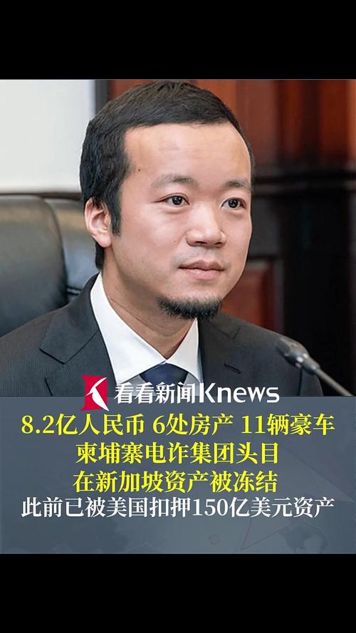 柬埔寨电诈头目8.2亿资产被冻结