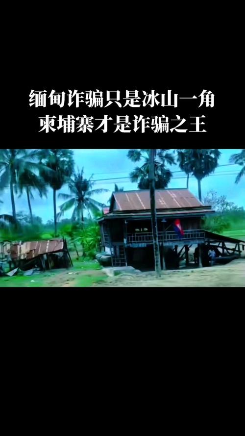 柬埔寨电诈头目8.2亿资产被冻结