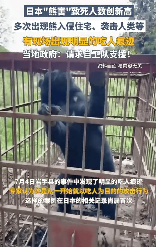 日本熊灾现场有明显吃人痕迹