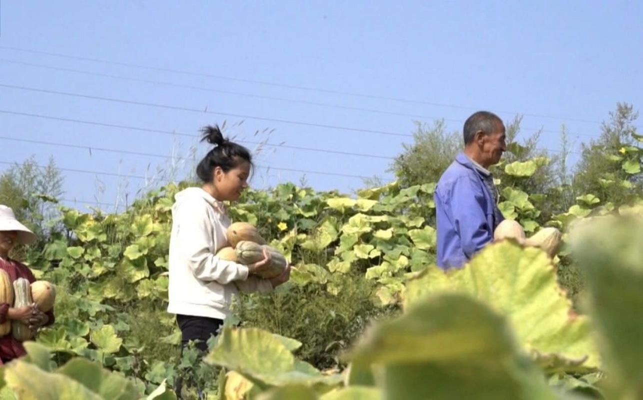 95后村支书把留守村变网红村