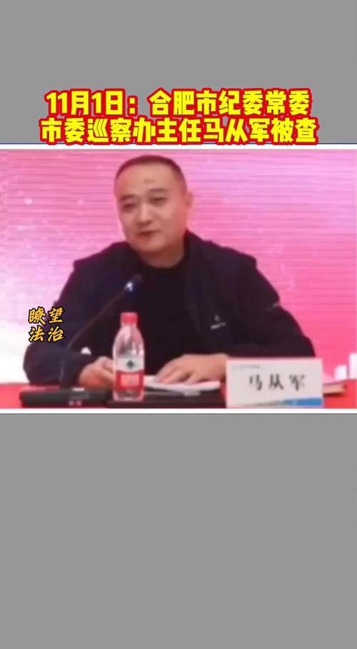 “内鬼”马从军被查