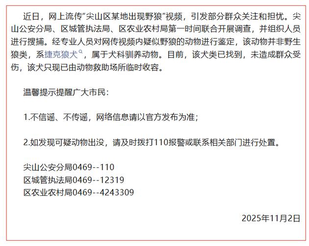 双鸭山尖山区回应“野狼出现”传闻