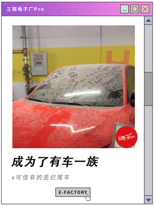 年轻人低价抢购倒闭车企烂尾车