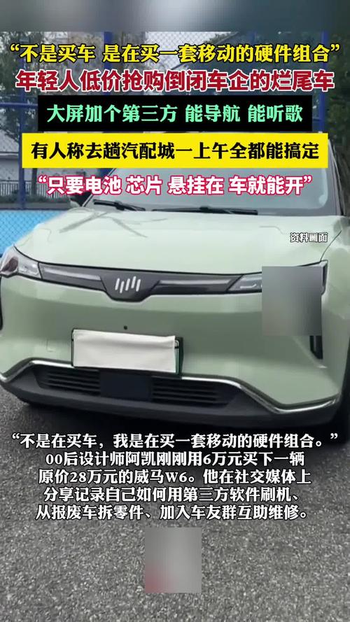 年轻人低价抢购倒闭车企烂尾车