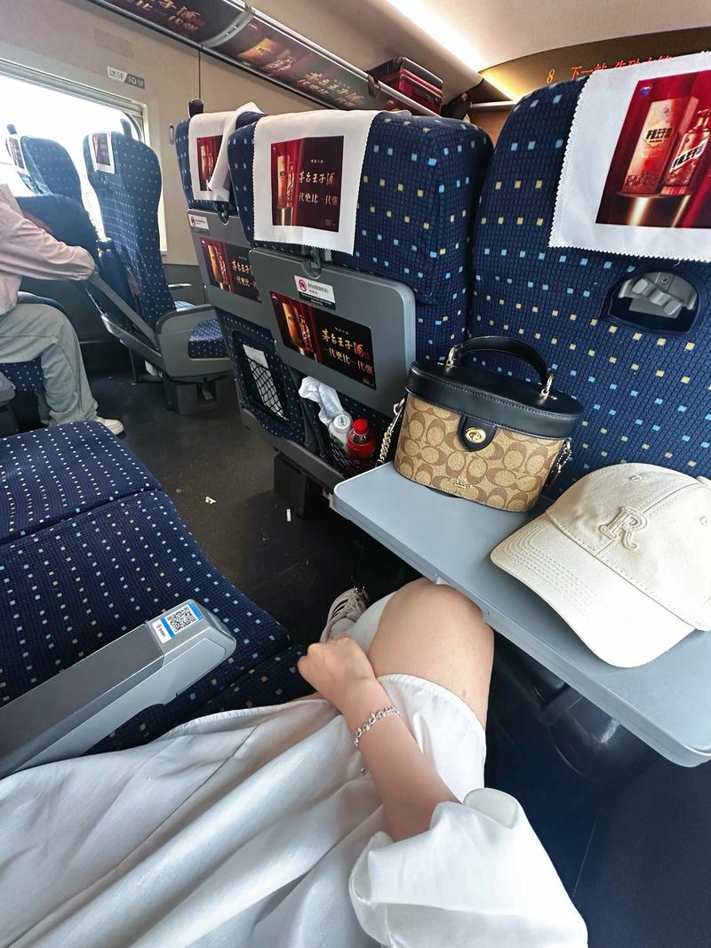 网友买高铁靠窗座位却遇“面壁座”