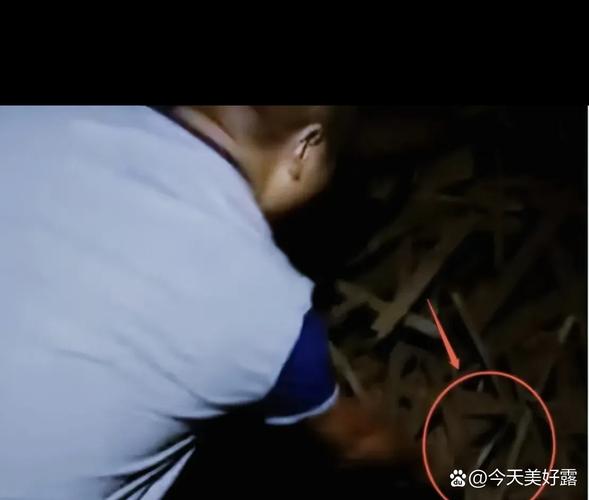 四川一男童家中失踪近两月